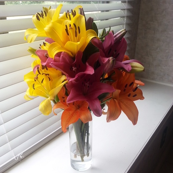 Meet your Posher, Ruth - Picture 1 of 1